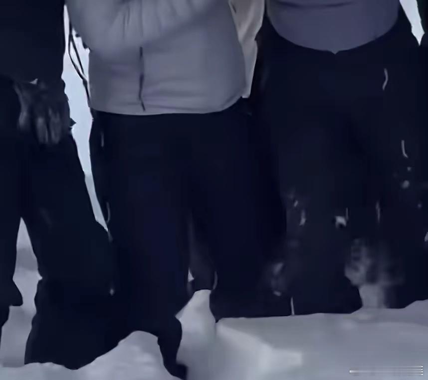 有时真是不作死就不知道怎么死的！女游客返程时与同伴在路边林带发现雪豹，不听劝阻下