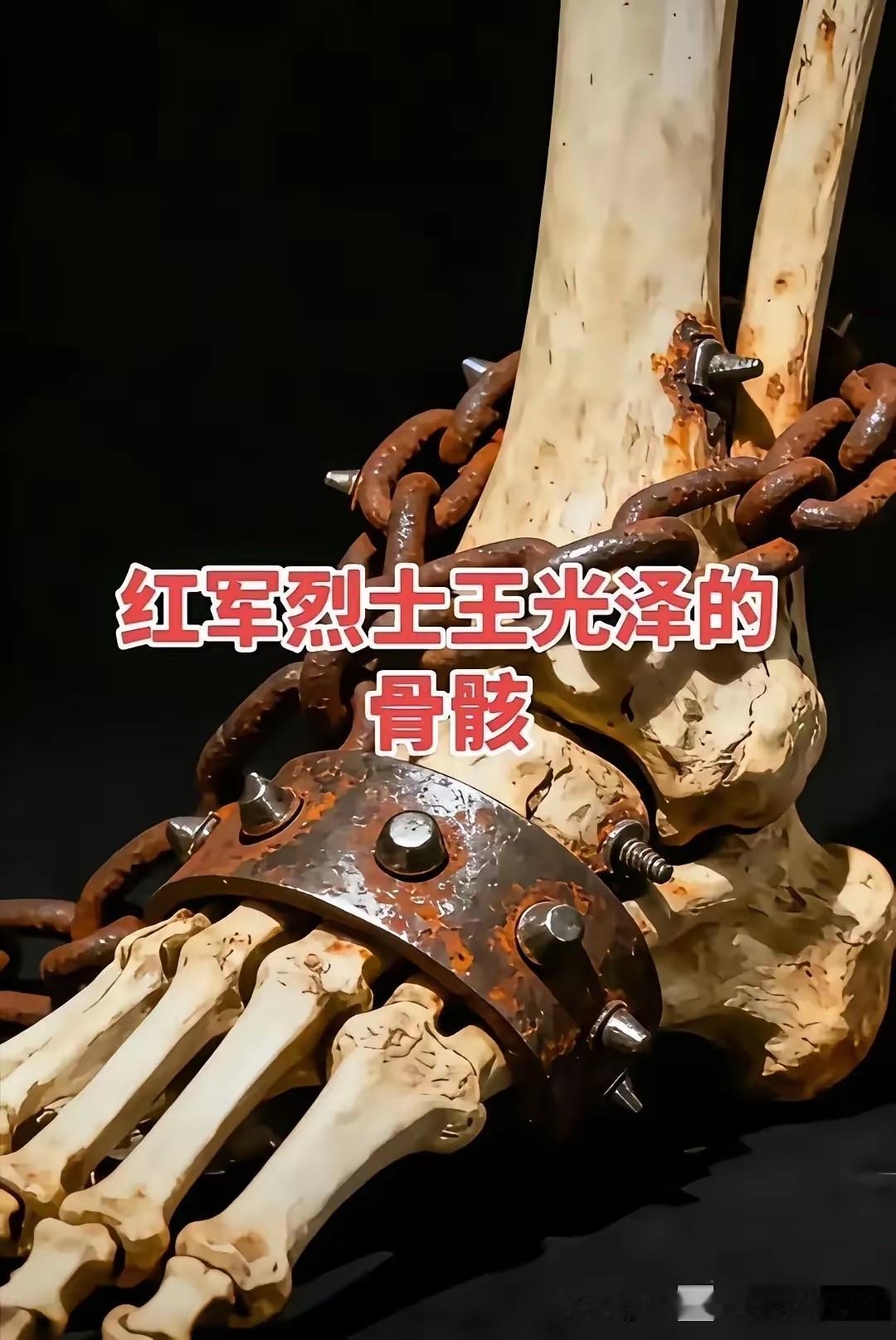 向红军烈士致敬！1982年在重庆酉阳县龙潭镇邬家坡的老泡桐树下，一具特殊骸骨重见