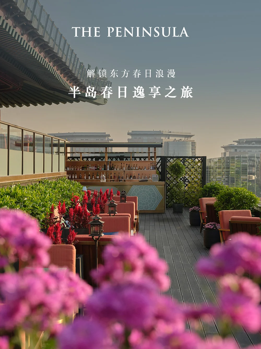 春日地图 | 亚洲四城，把春天装进画里🌸