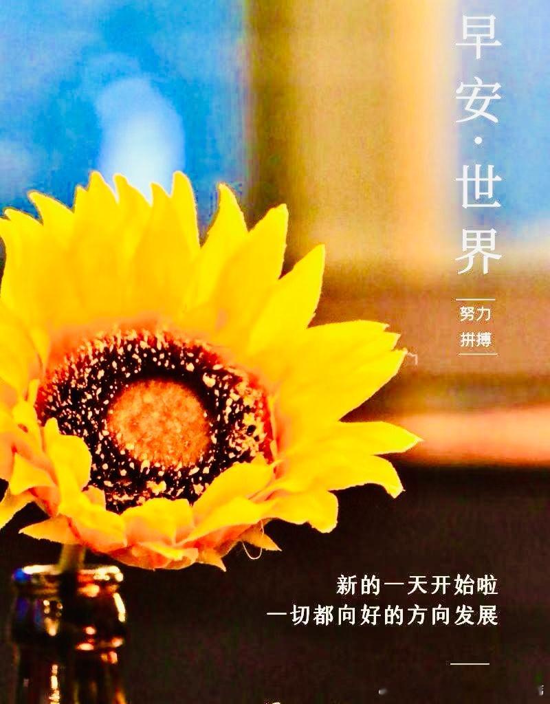 路漫漫亦灿灿，越走越开阔。人生的视角决定了你的路况。当你穿过了那片荆棘林，回头看