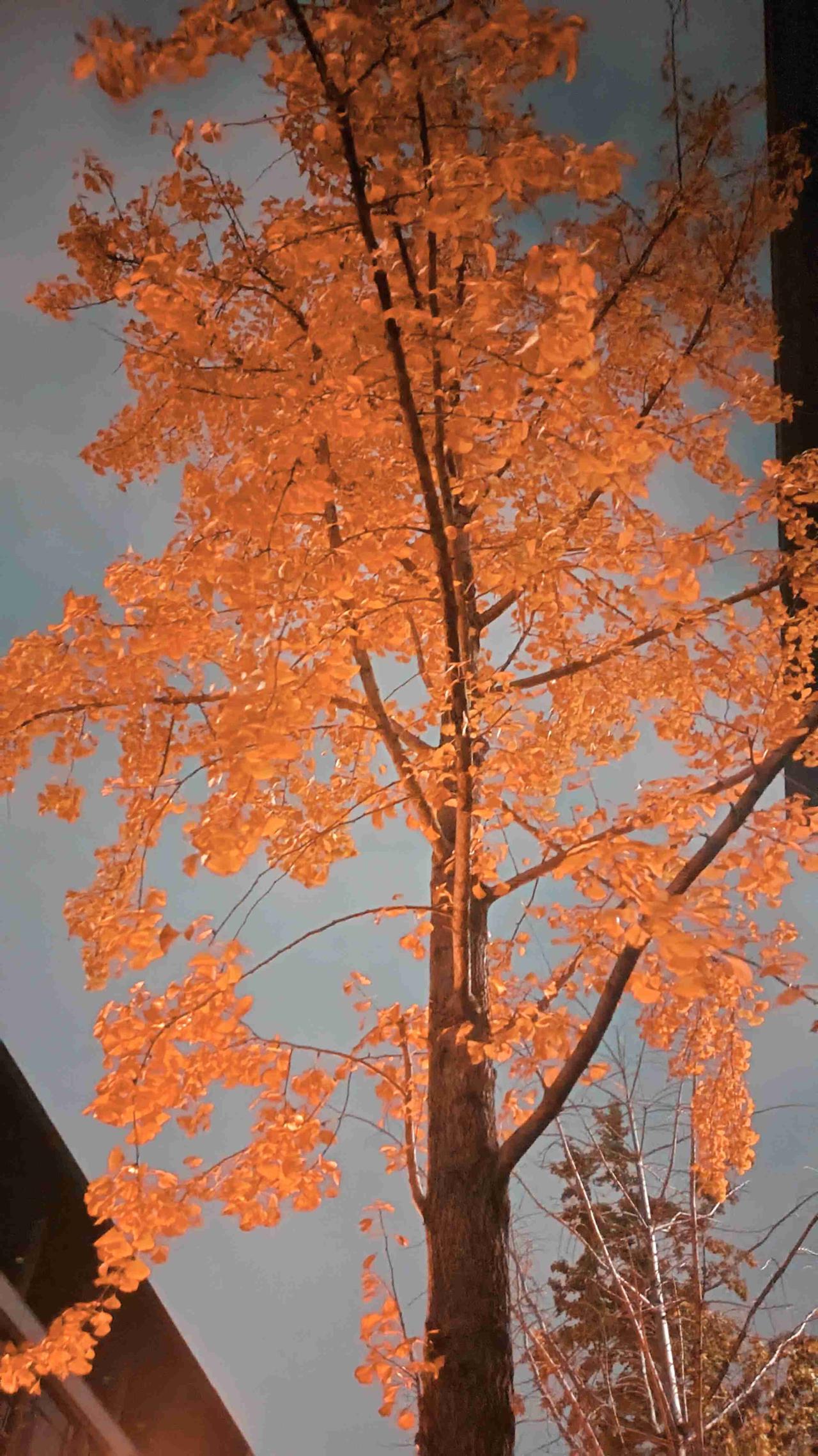 我的今日状态：😁轻松愉快
我这里的天气：☁️阴天