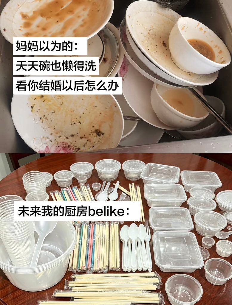 已经准备好洗碗机，全自动扫地机的钱了