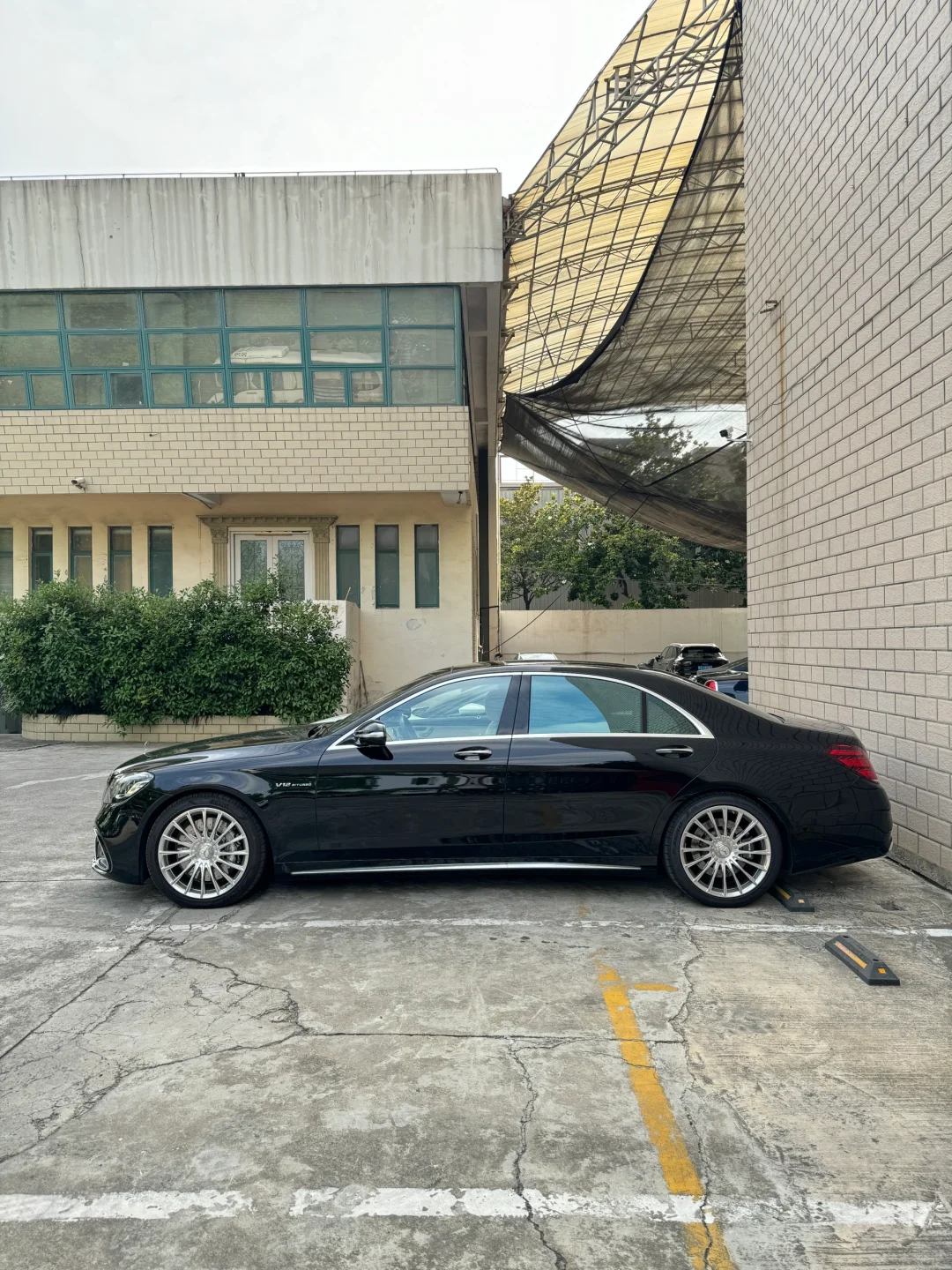 19年S65 稀有白内 自己看成色…