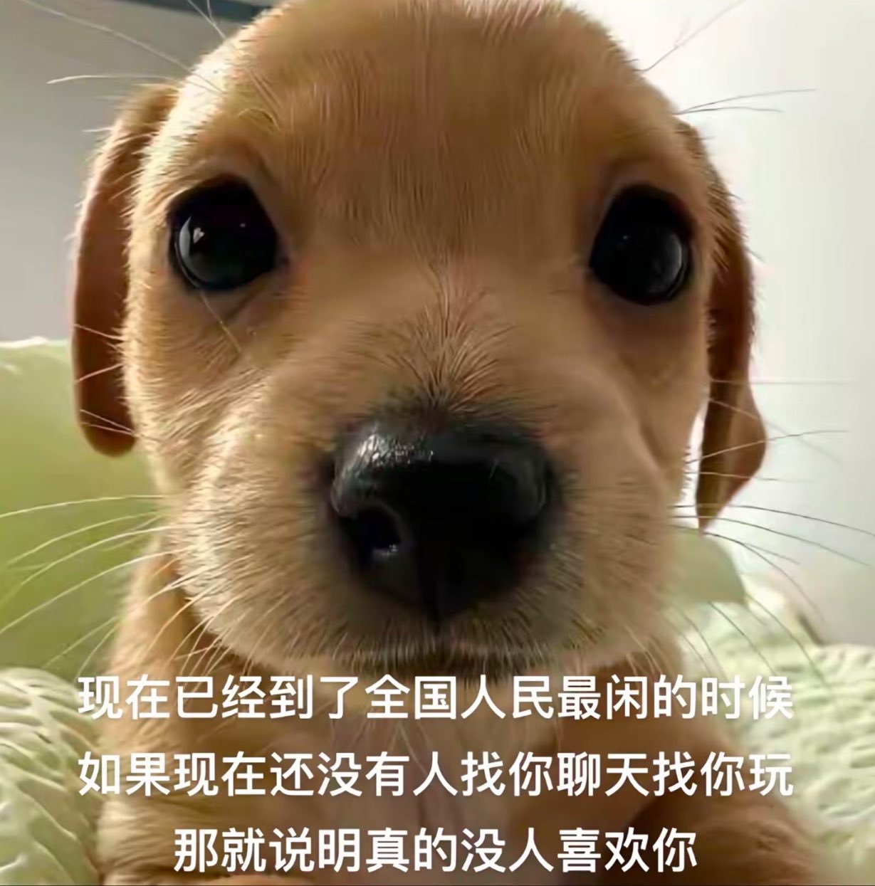 姨爷爷像个小孩一样无神地站在来访的亲戚一边，舅舅一边诉说着他严重的病情一边和我们