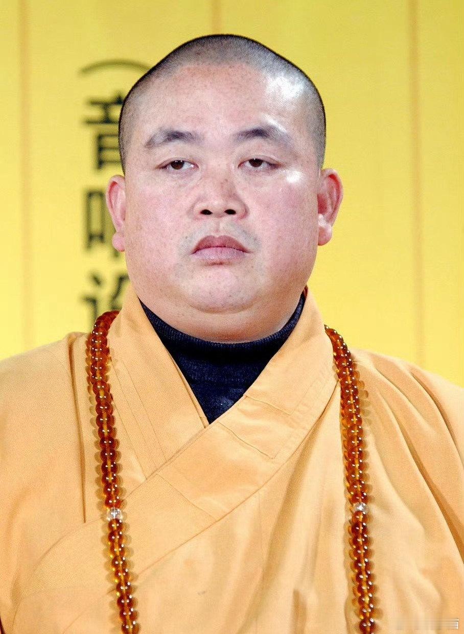 少林寺住持释永信被查“请问高僧坐何而来”“贫僧驾鹤而来”“驾的什么鹤”“迈巴鹤～