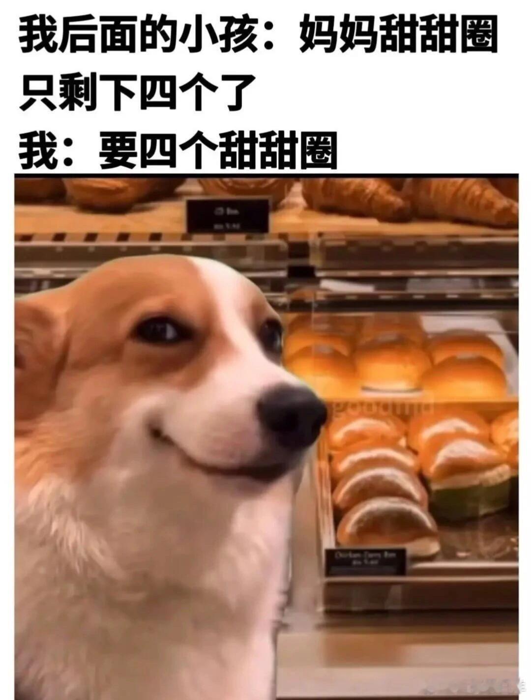 那很坏了梗图[超话]趣图meme ​​​