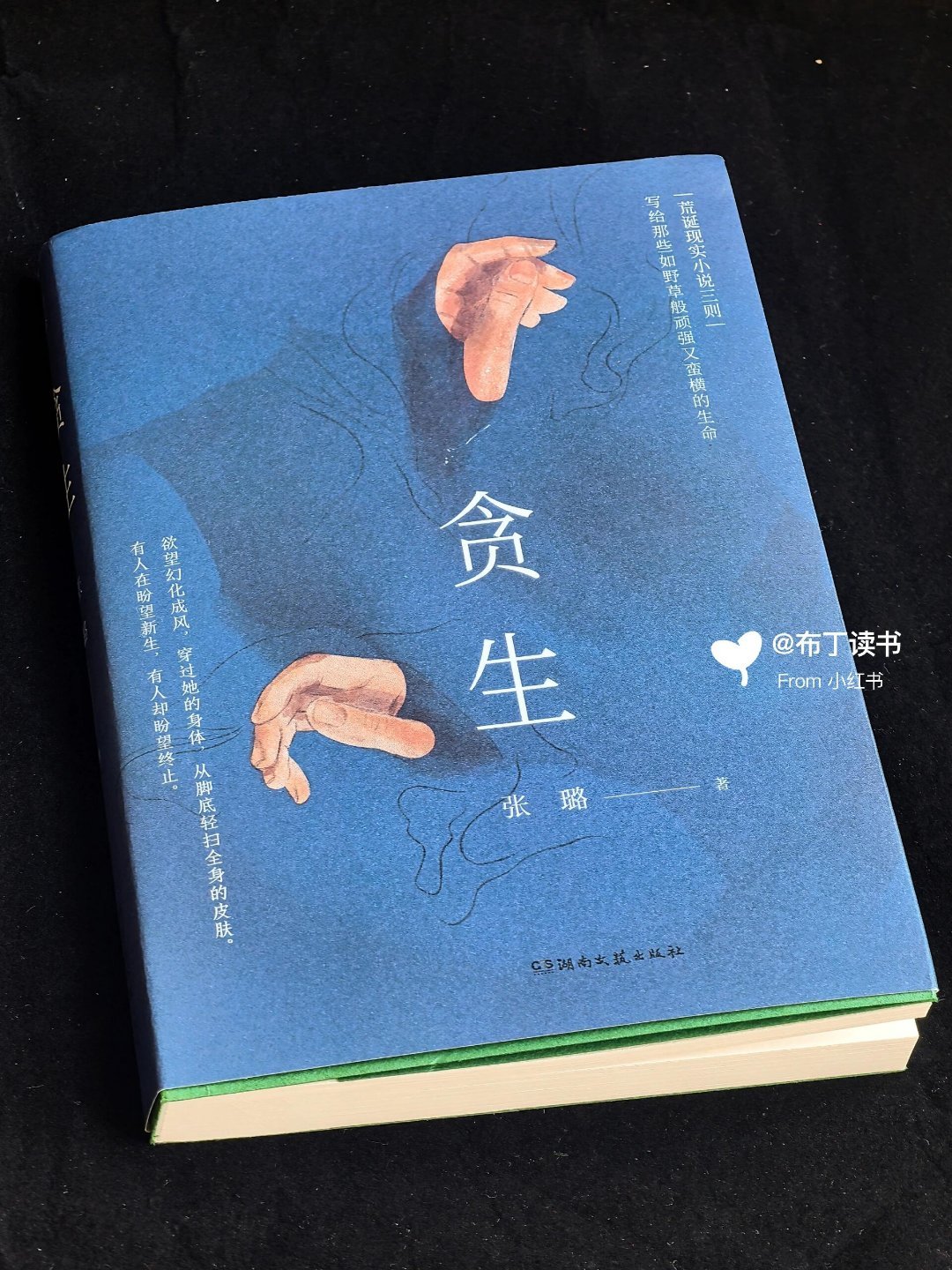 好书推荐   | 读完《贪生》，内心被一种深沉而复杂的情绪所笼罩，仿佛置身于一片