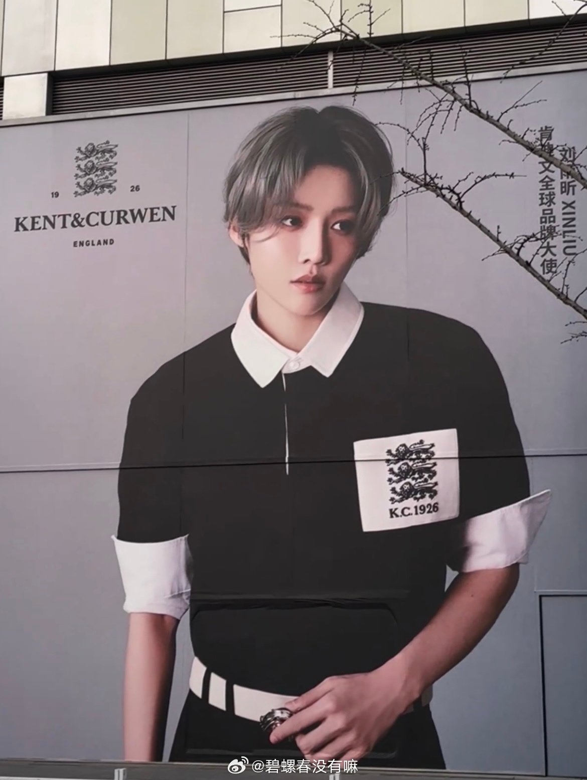 刘雨昕肯迪文全球品牌大使wwd已先行官宣，地广更是昨天就上了诚意排面都拉满了 