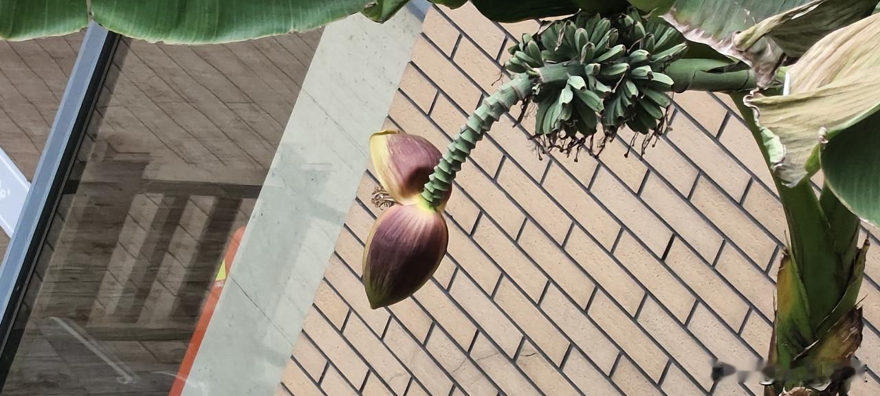 沿着蒲汇塘新泾港溜达
送了孩子上学之后，干脆把电动车放在学校外面的停车点，走着回