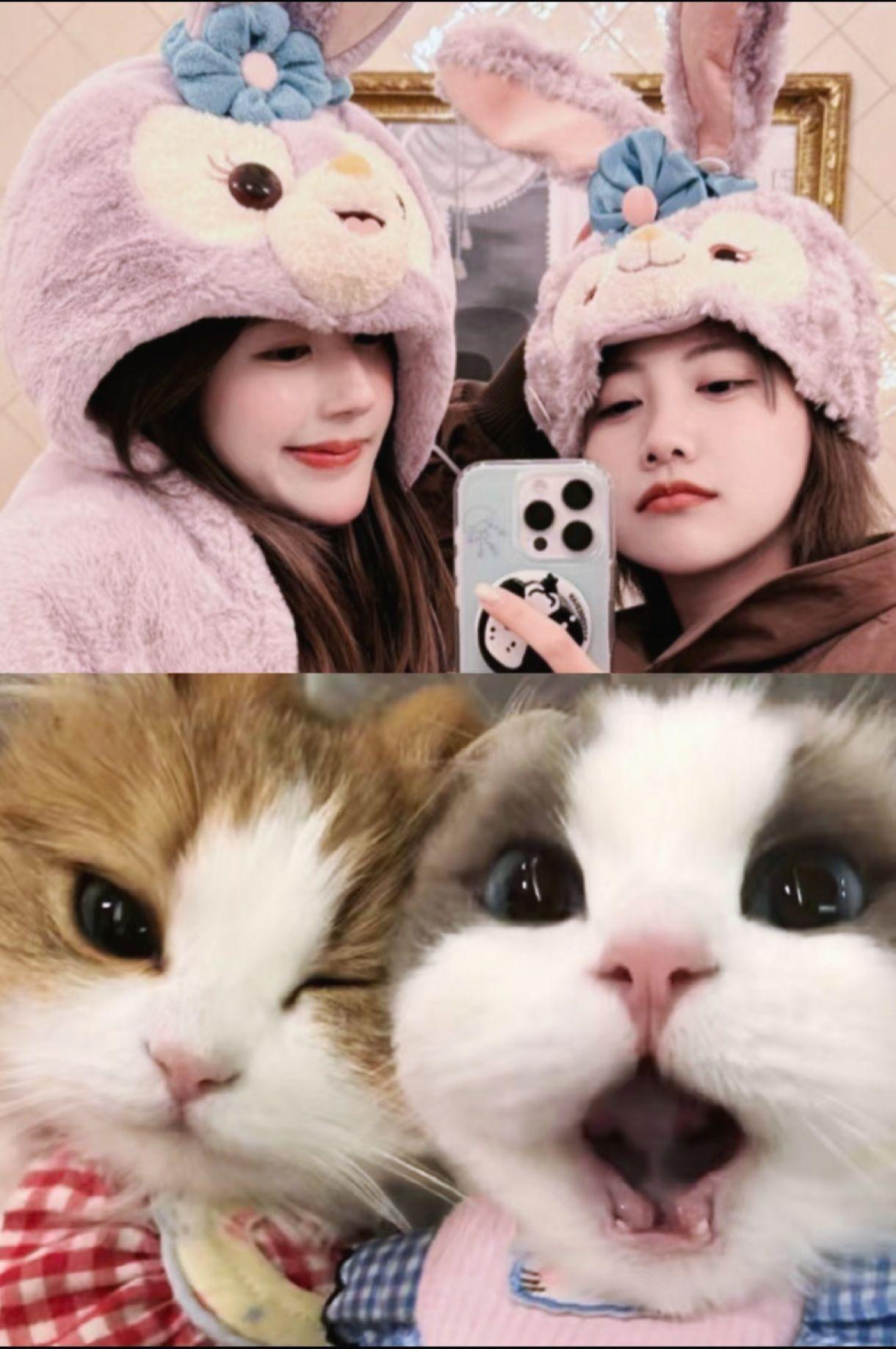 和快乐的人在快乐的地方～两个萌宝宝！露思和魏笑就这样萌翻所有人～在迪士...