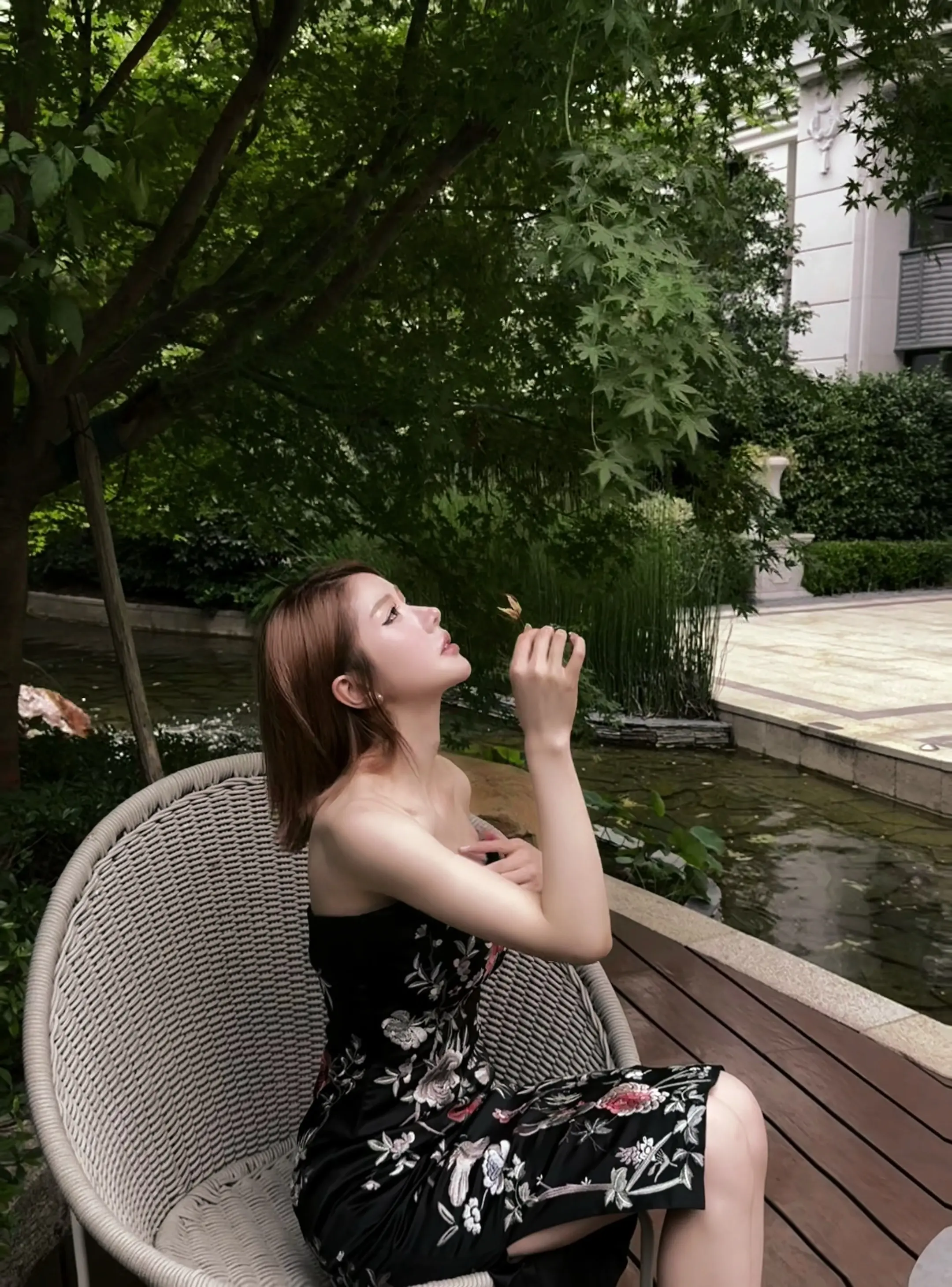楼下的桃树长了满满一树的桃子。