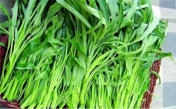 空心菜立大功？研究发现：空心菜对这4类慢性病有效，或可多吃

你可能没注意到，菜