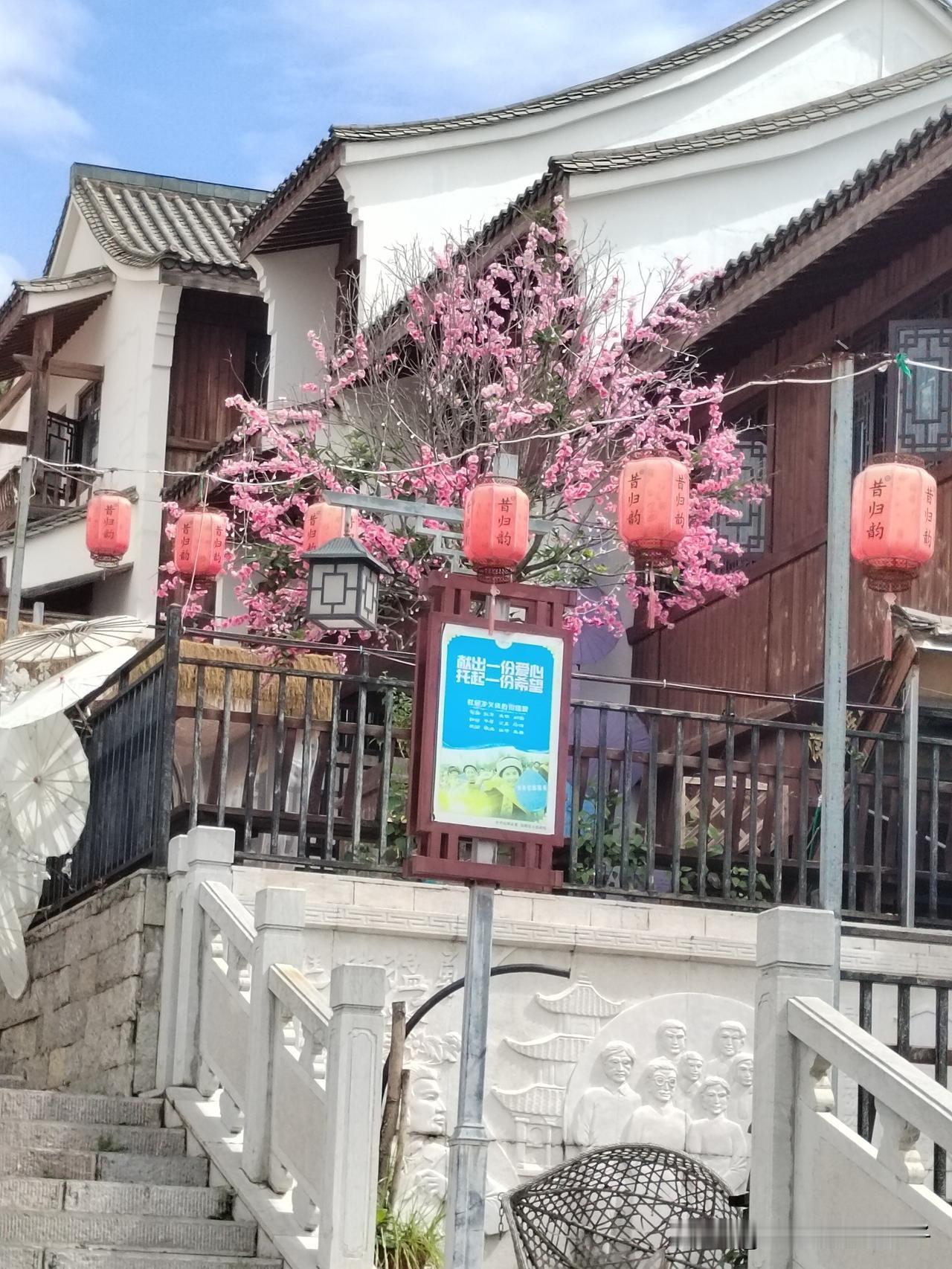 冬天独特的一抹风景[爱慕]