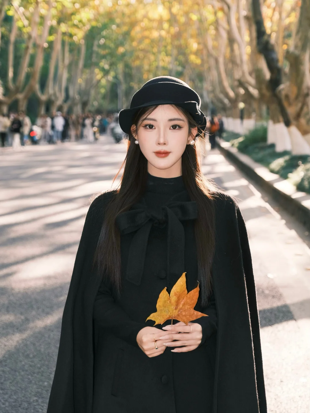 一句梧桐美 便种满南京城🍂