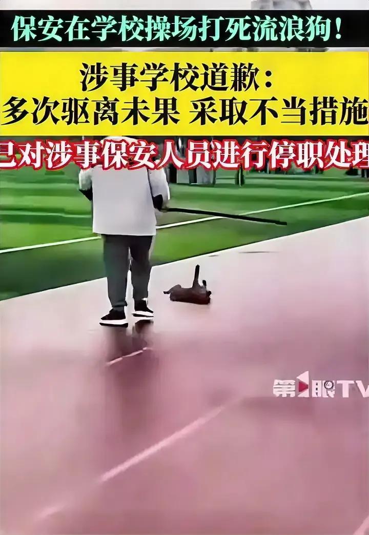 最后还是保安背锅，流浪狗进校园，保安驱离它不走，最后一棍打死。这一打不要紧，引起
