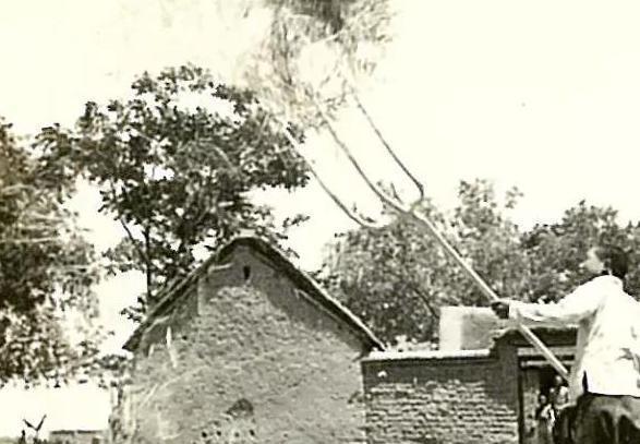 民国时期，从一个小村庄拥有的枪支，你能想象世道有多乱。
 
那时候的中国乡村，随