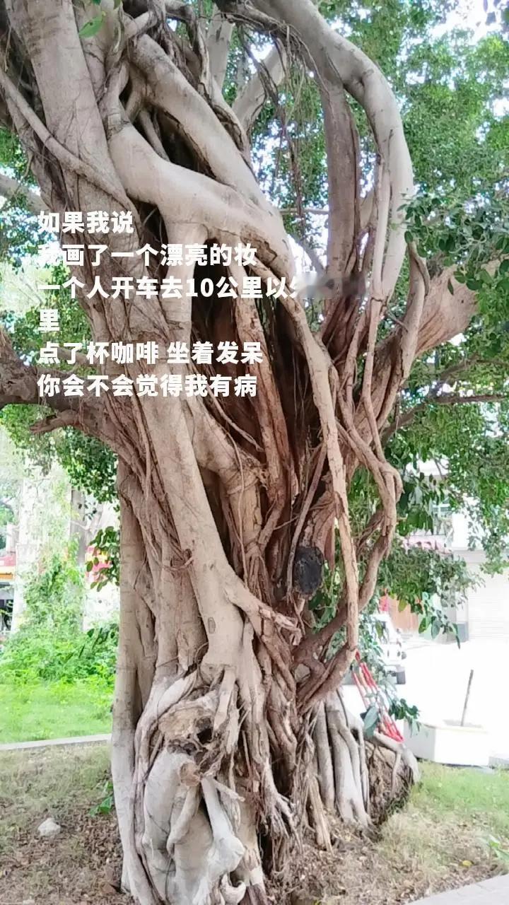 三毛说，你对我的百般注解和识读，并不构成1/10000的我，却是一览无余的你。