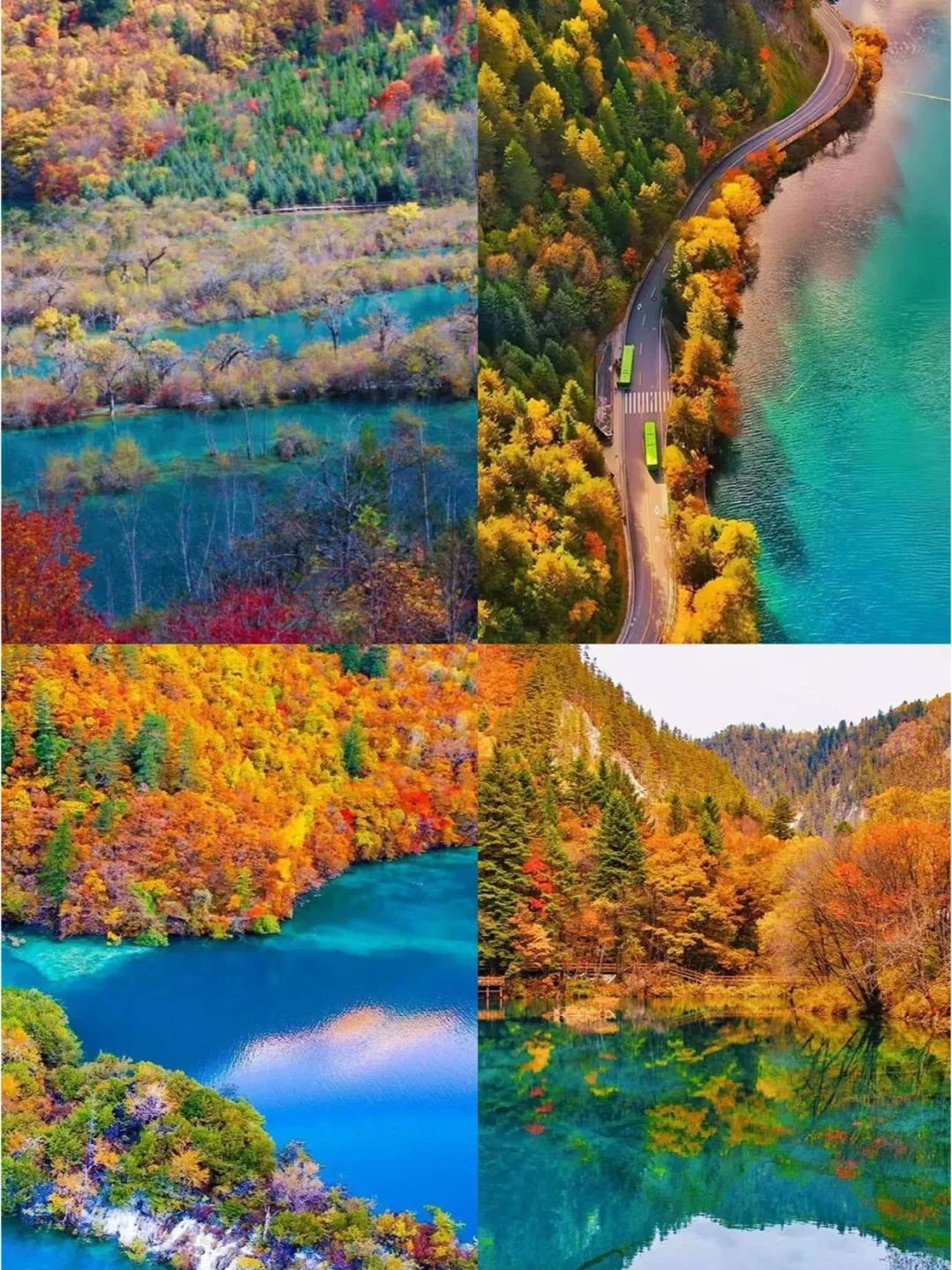 接下来的九寨沟，错过又得等一年🍂