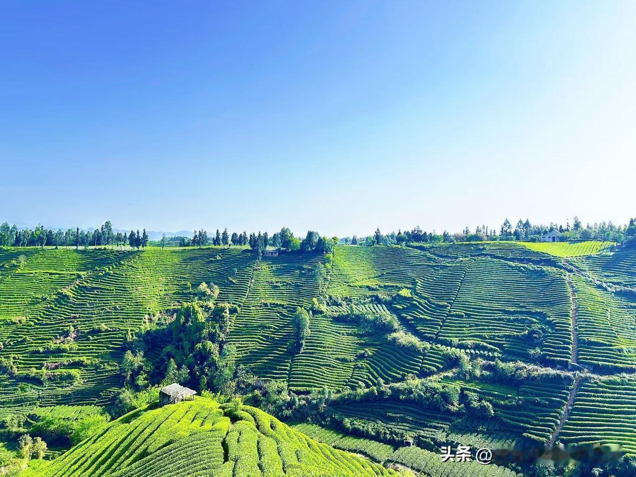 老公说他二哥从新疆回来了，我一听到就炸毛：叫他不出去，他非要出去，这一来一回半个