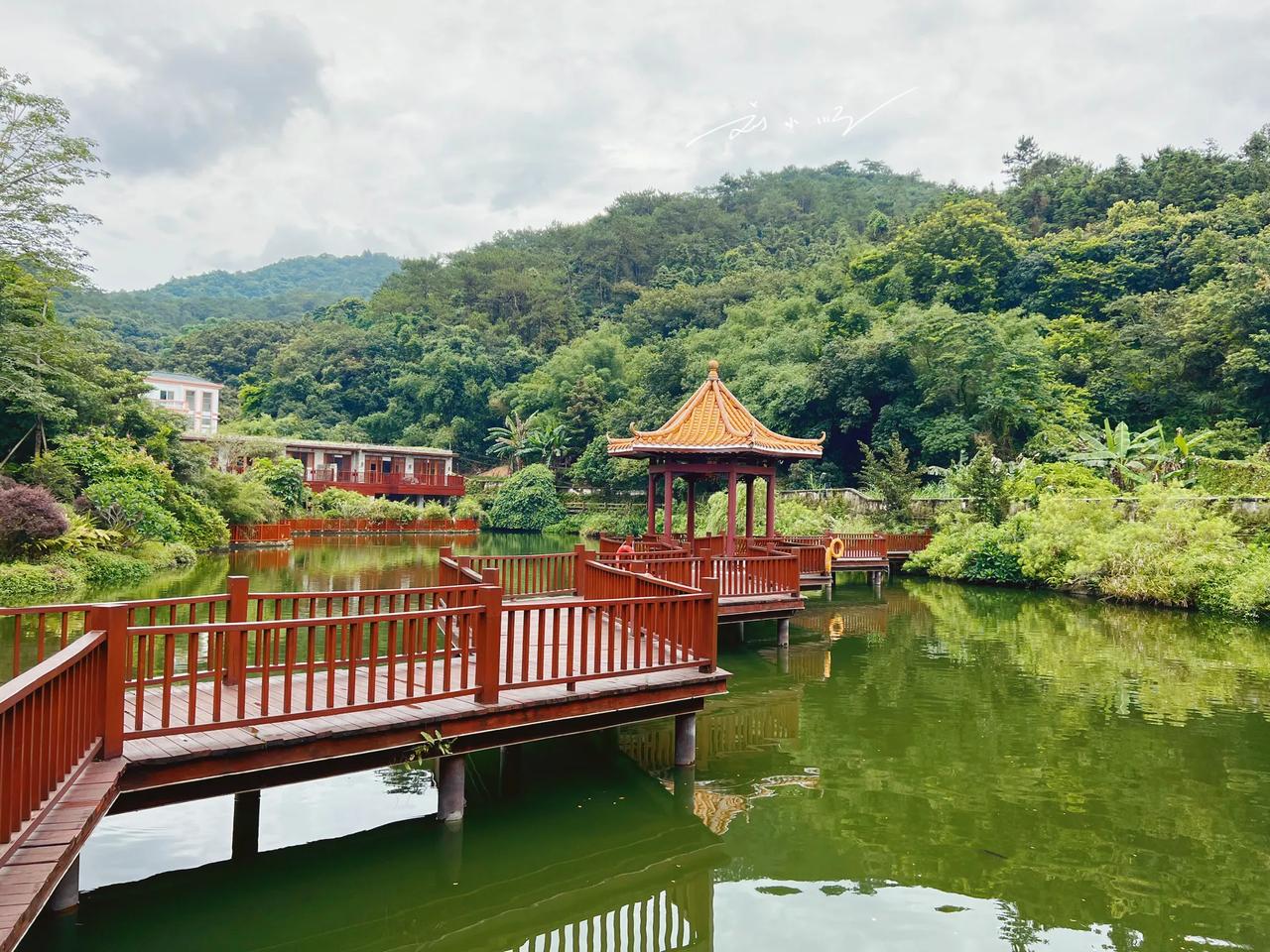广东省新兴县这家“宝藏”温泉酒店，就在国恩寺附近，你来住过吗？

说到广东省云浮