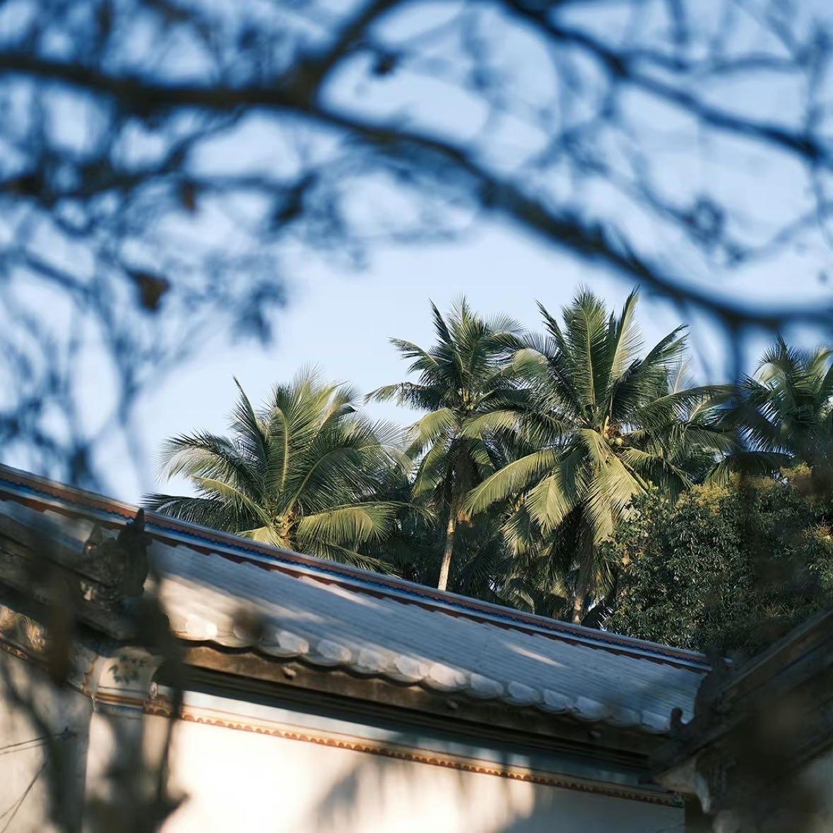 这世界大的让你很难不旅游 