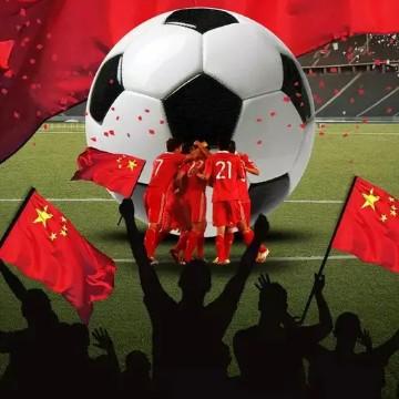 我国足球为什么进不了世界杯？一个70多岁大爷一针见血，比一万篇论文都透彻：“球场