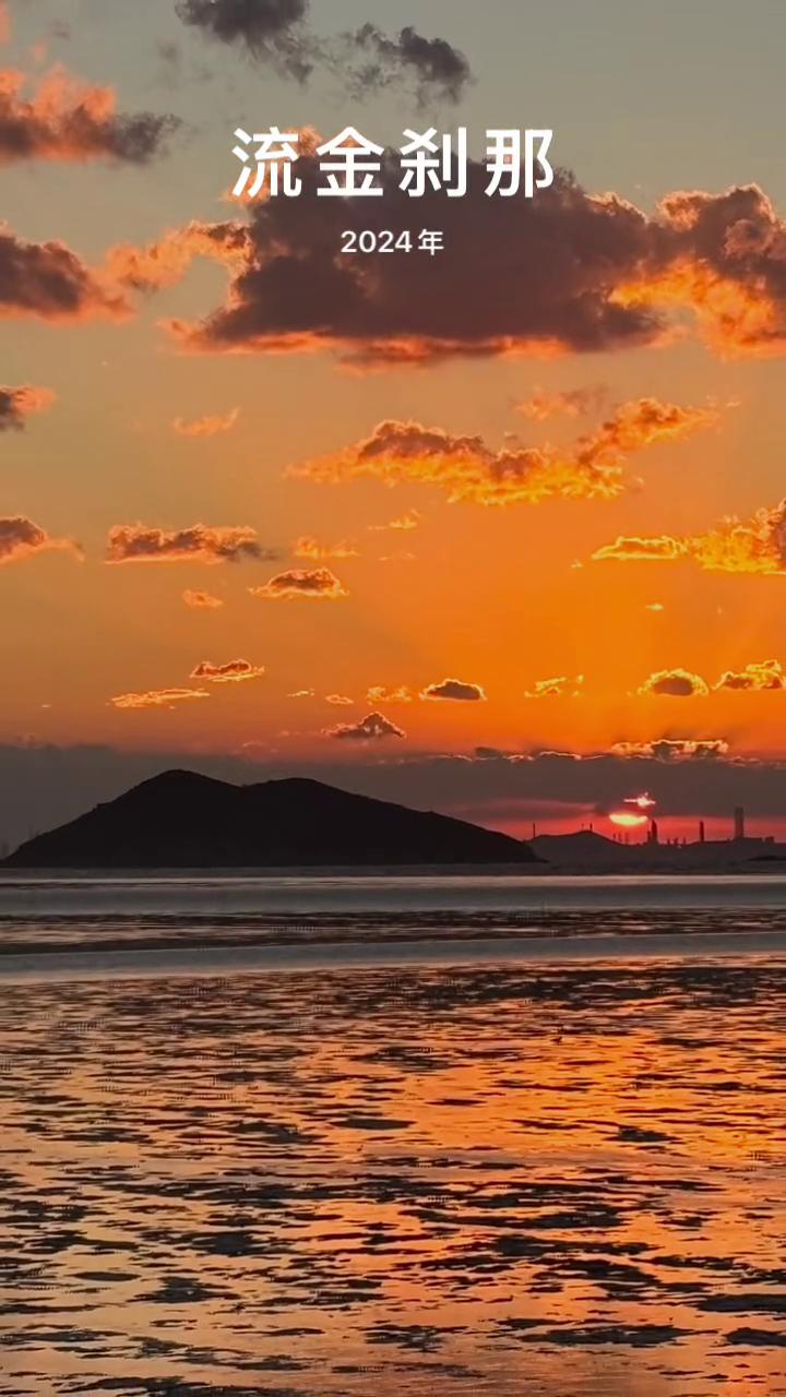 流金刹那，2024年。