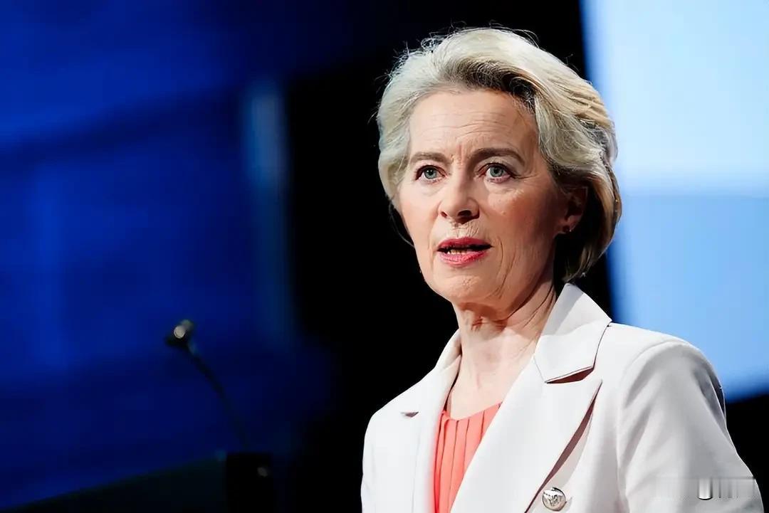 冯德莱恩估计做梦都想不到，已经在国会选举中失利的欧尔班，能以0票反对再次当选为青