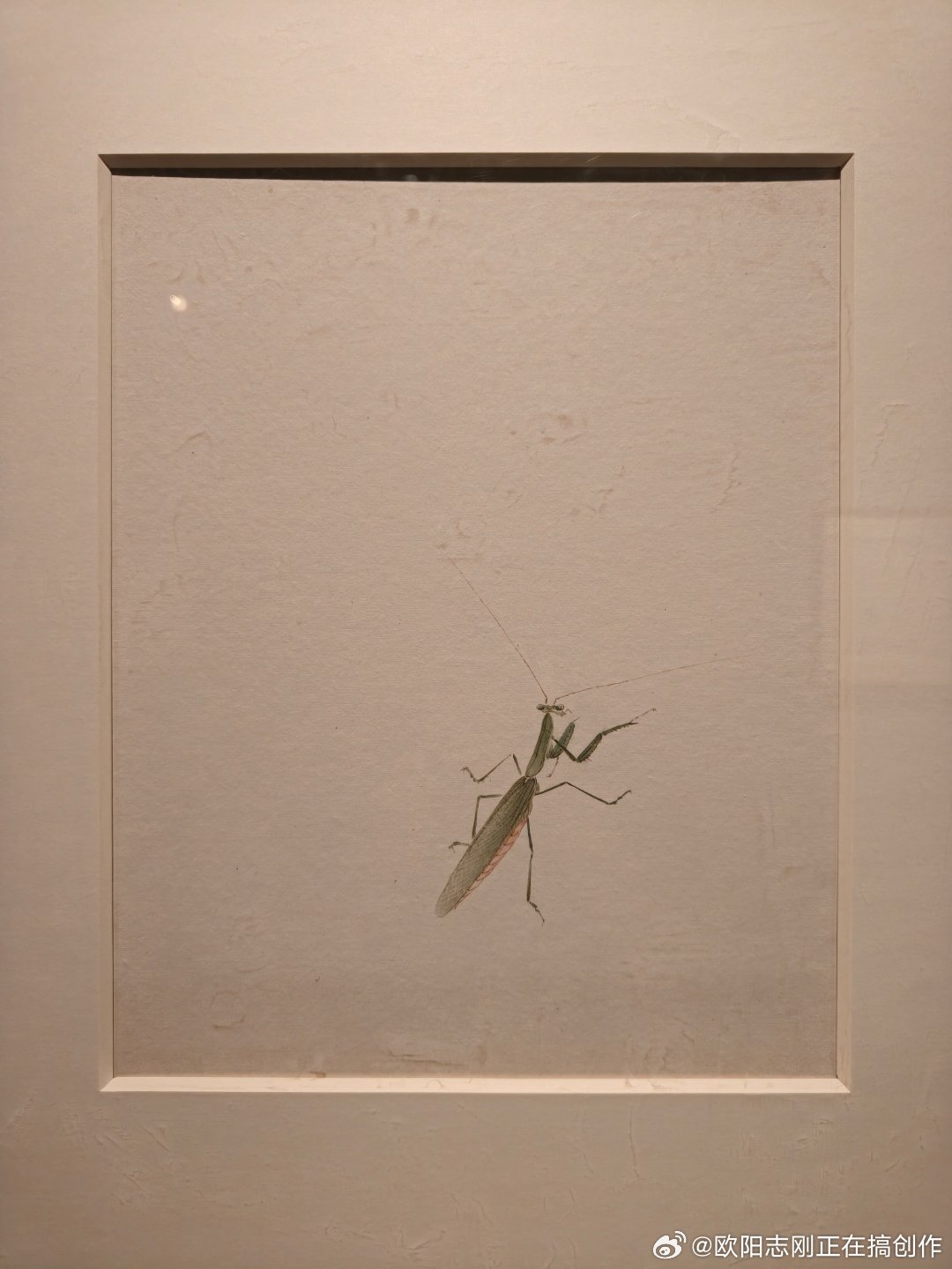 北京画院最近有个齐白石画昆虫的展览，很不错，除了画，还有昆虫标本，布展的各种细节