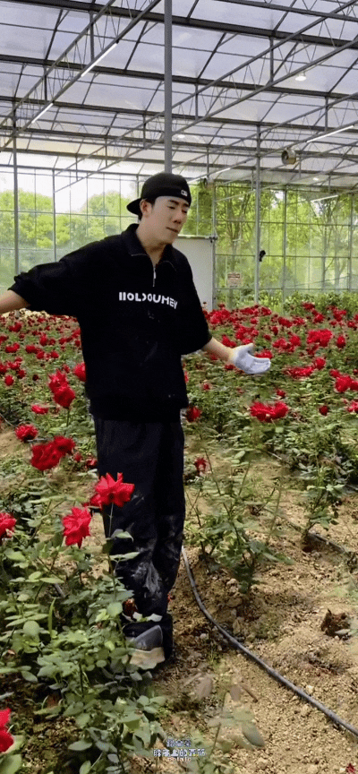 鹭卓首个常驻音乐真人秀官宣鹭卓在哪也忘不了他的玫瑰 已经期待上鹭卓的表现了，已经