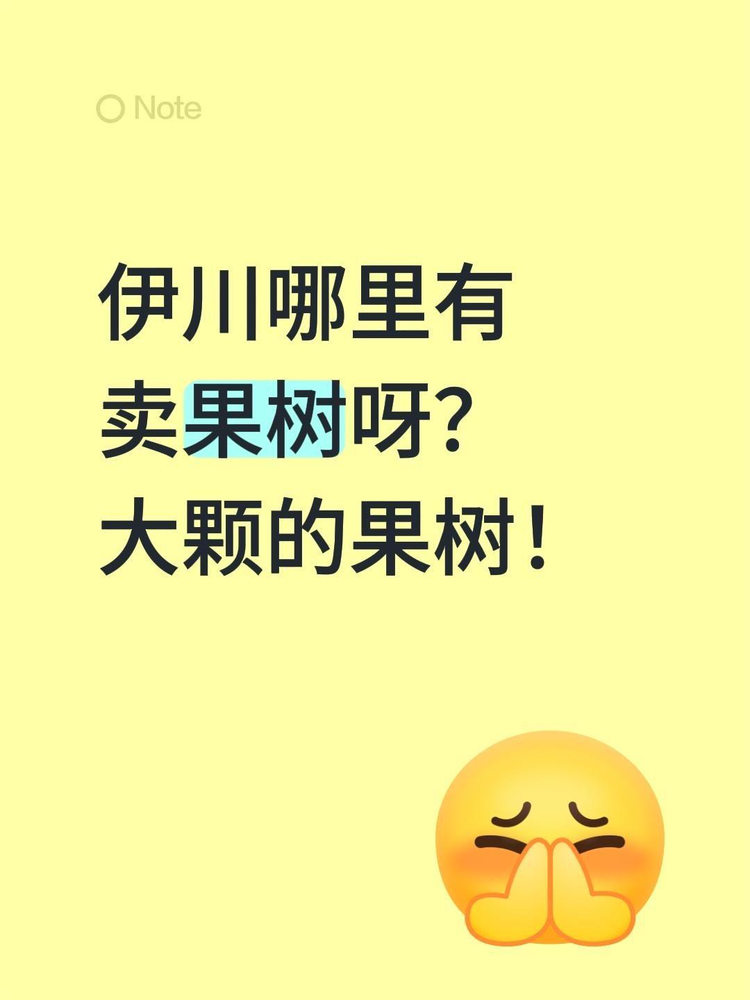 伊川哪里有卖果树呀？大颗的果树！