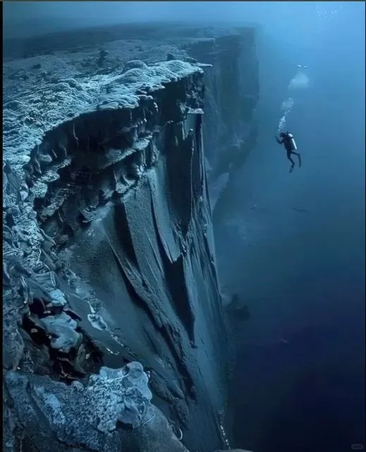 美图欣赏——通往广阔深海平原的奇妙世界