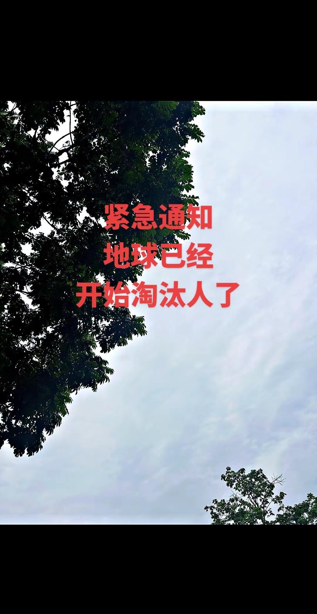 王楚钦独得两分力挽狂澜！国兵男团成功晋级伦敦世兵赛8强啦～王楚钦 刊小颖莎王曼昱