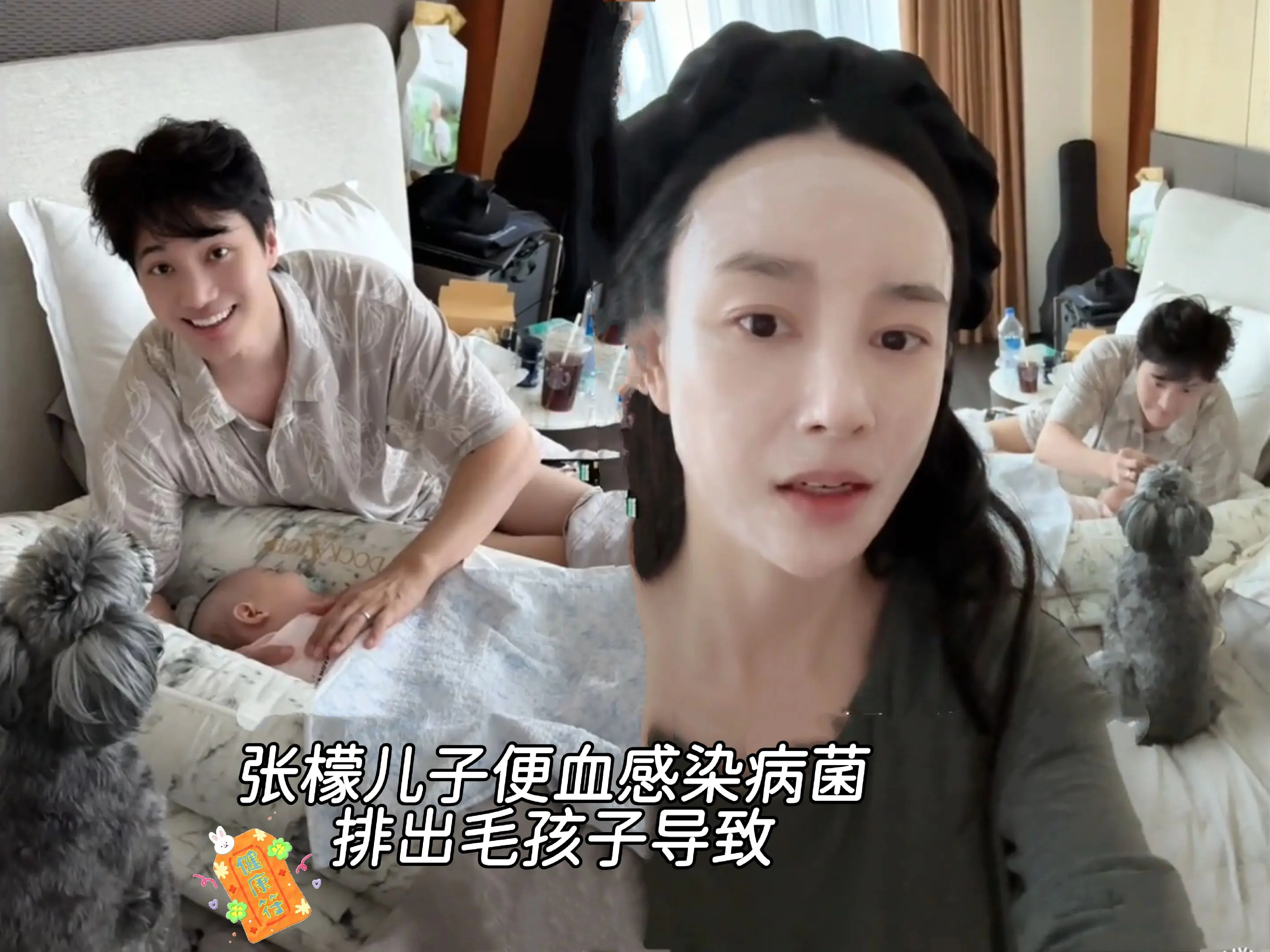 张檬儿子便血感染病菌，否认是毛孩子导致的。张檬儿子感染病菌便血，有网友...