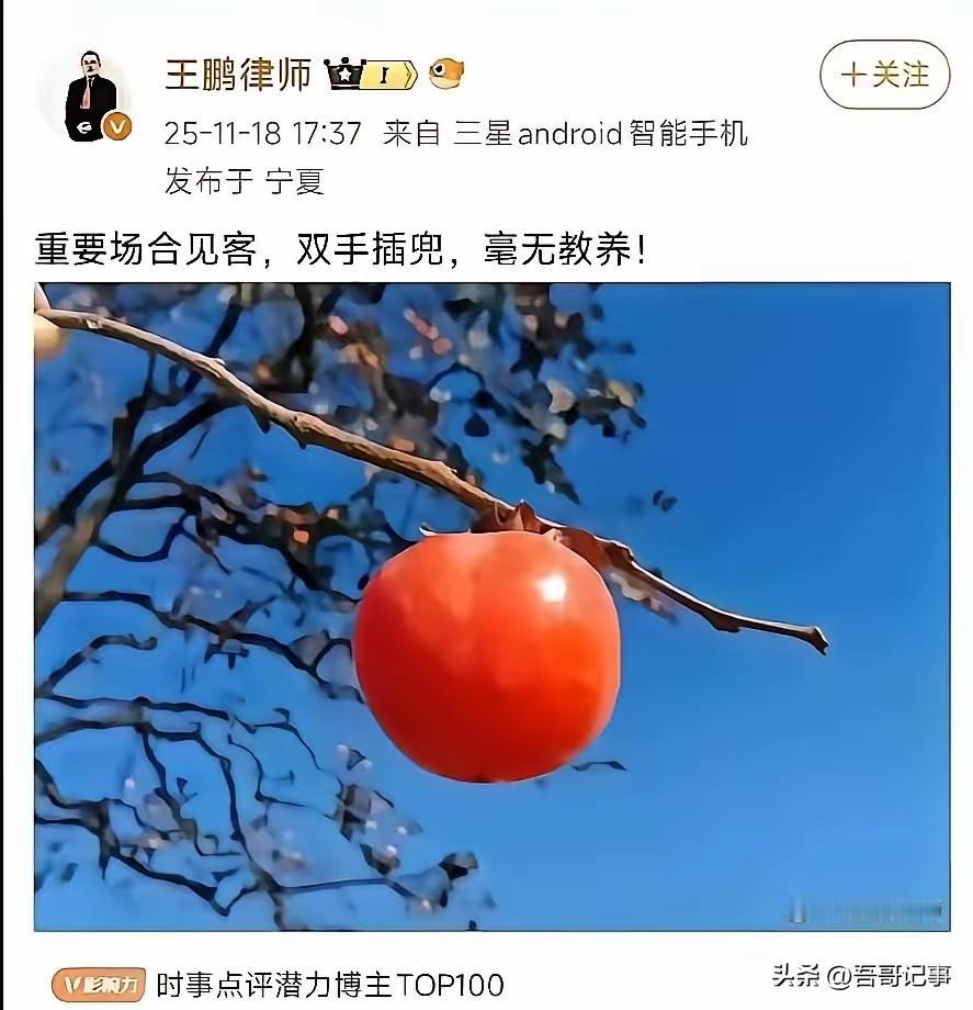 我不关心王鹏律师的文字，文字谁都看得懂，谁解释一下图片中这个红红的大柿子是什么含