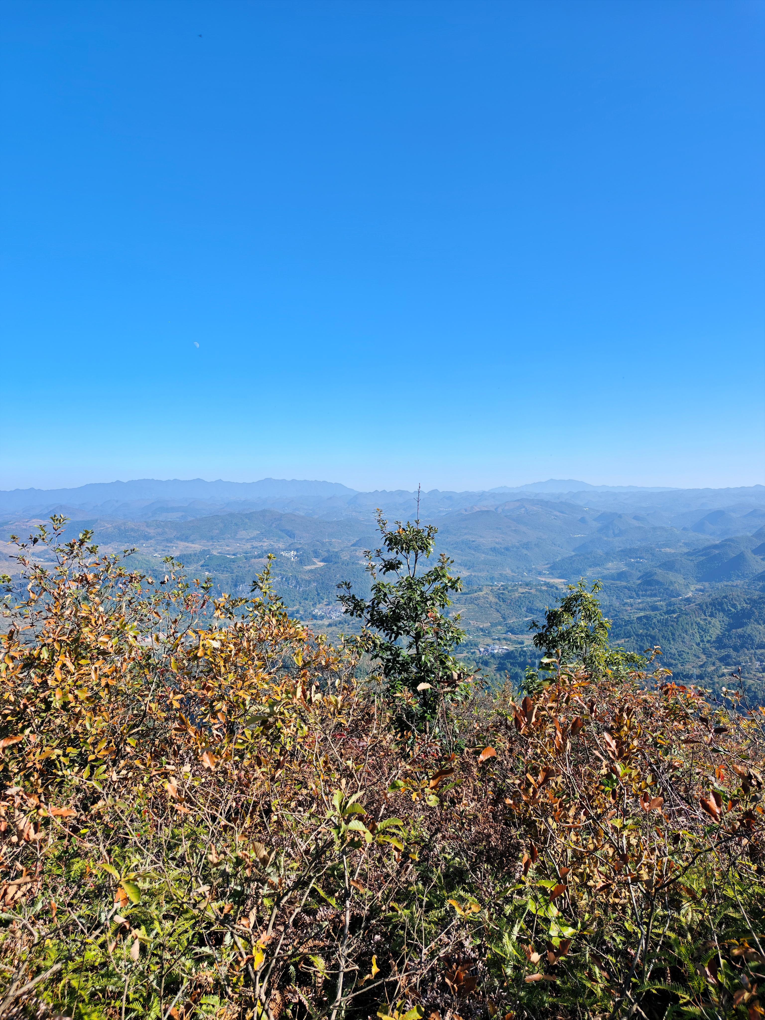 不憾落叶随风去，静待新蕾枝上生！ 