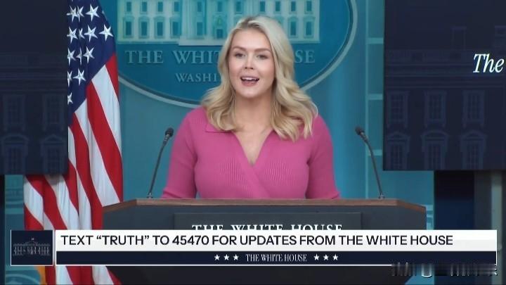 川普称他对克林顿与爱泼斯坦关系的调查感到困扰。
“有人在针对克林顿这让我很困扰，