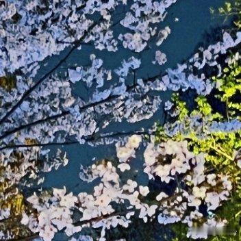 每日一善生活从来没有捷径，别人为了梦想默默耕耘，只是你没看到而已。停止为懒惰找借