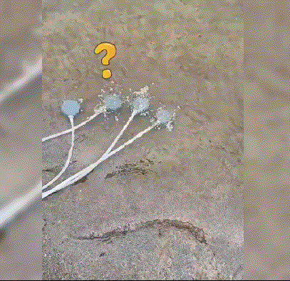 网友:她放个氧气在跟前意义何在？