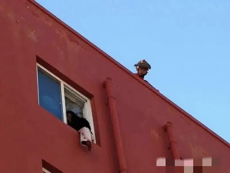 “救”在身边 | 六层窗台 少女悬空......危急关头 他们来了！

2026