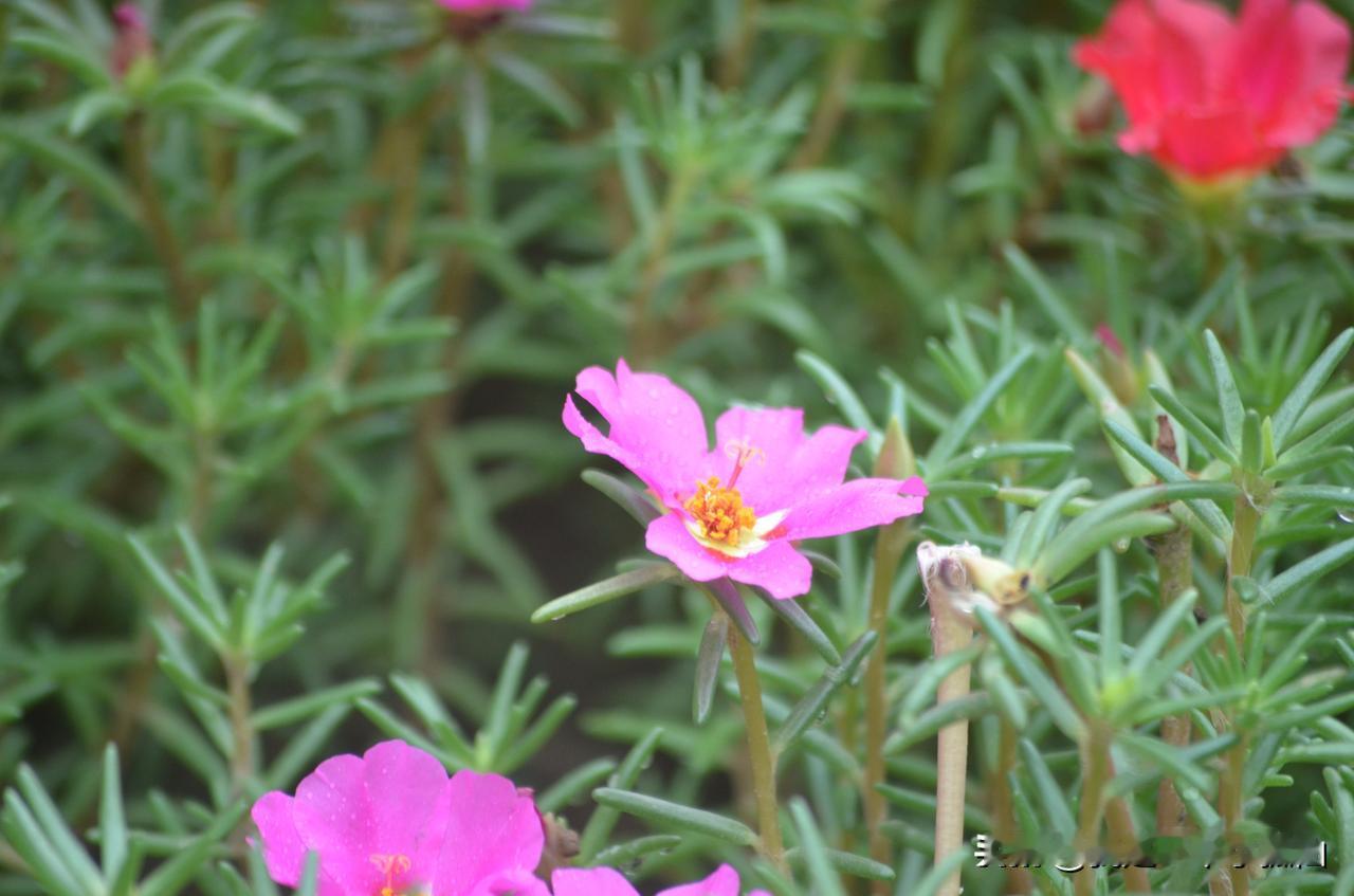 #老了什么是你的底气#
老了什么是你的底气？
这个呀，我个人感觉儿孙绕膝、家人团