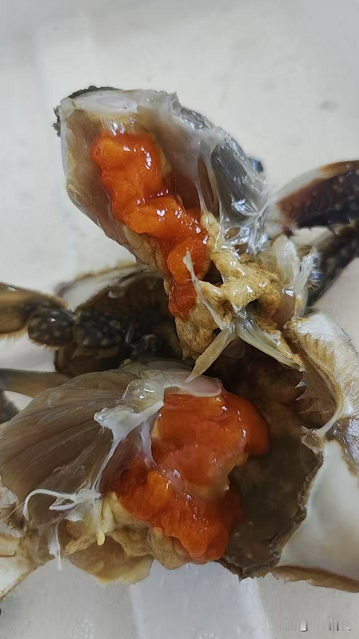 冬日生活打卡季住在近海城市最大的乐趣就是成了吃货。11🈷️接近月底，此时的飞蟹