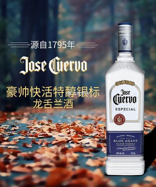 行业公司研究顶级股权企业家豪帅快活龙舌兰酒全景分析一、品牌历史豪帅快活起源于17
