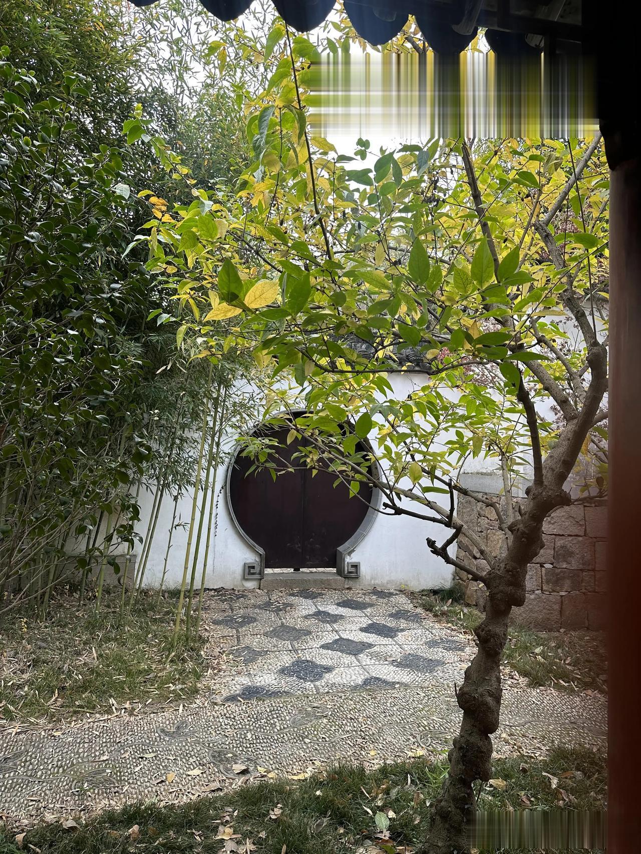 早上好。
​任何一条路都会有一定的困难时期，如果期望靠躲避解决问题，那么结果大概