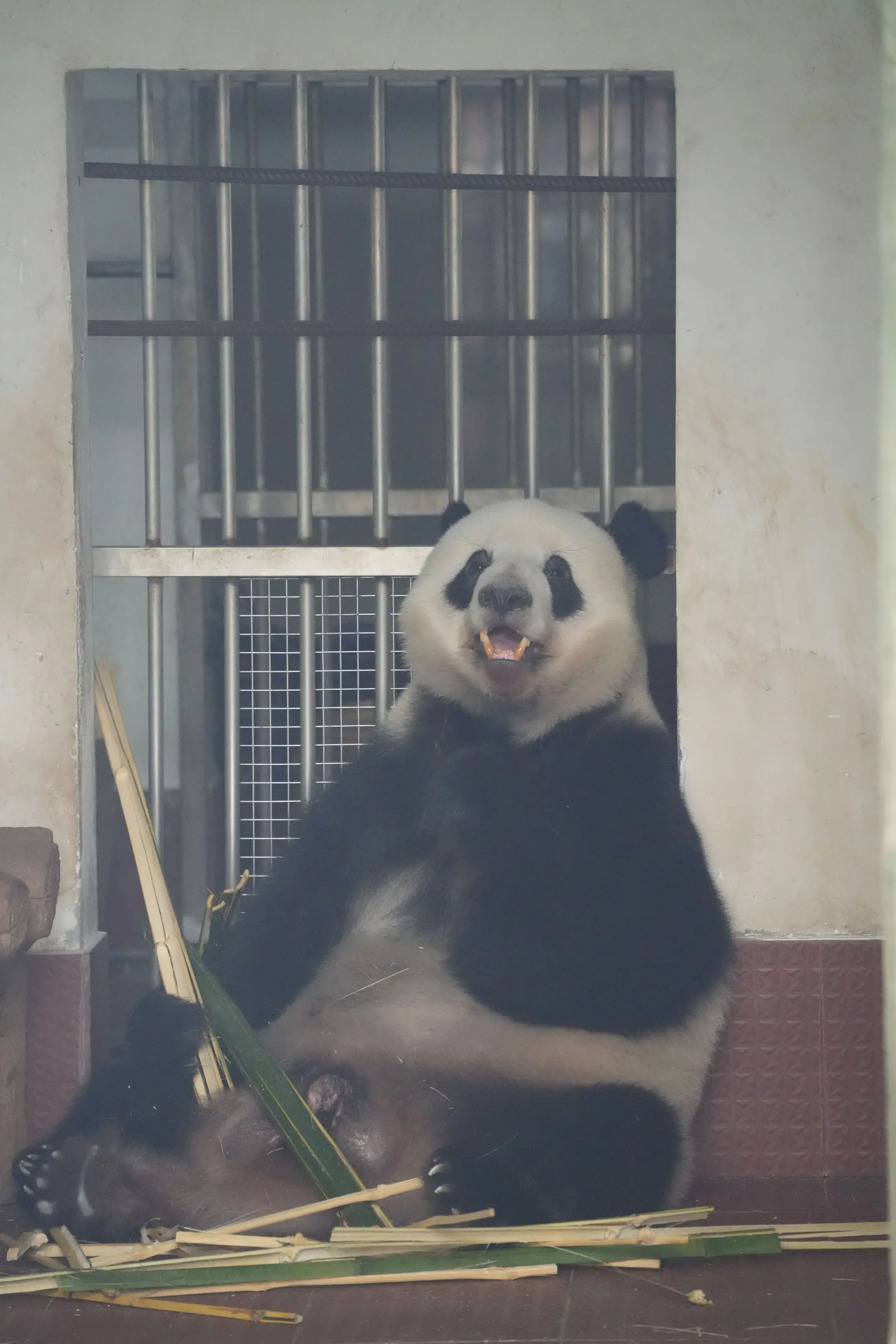 好像笑得甜甜的星一。