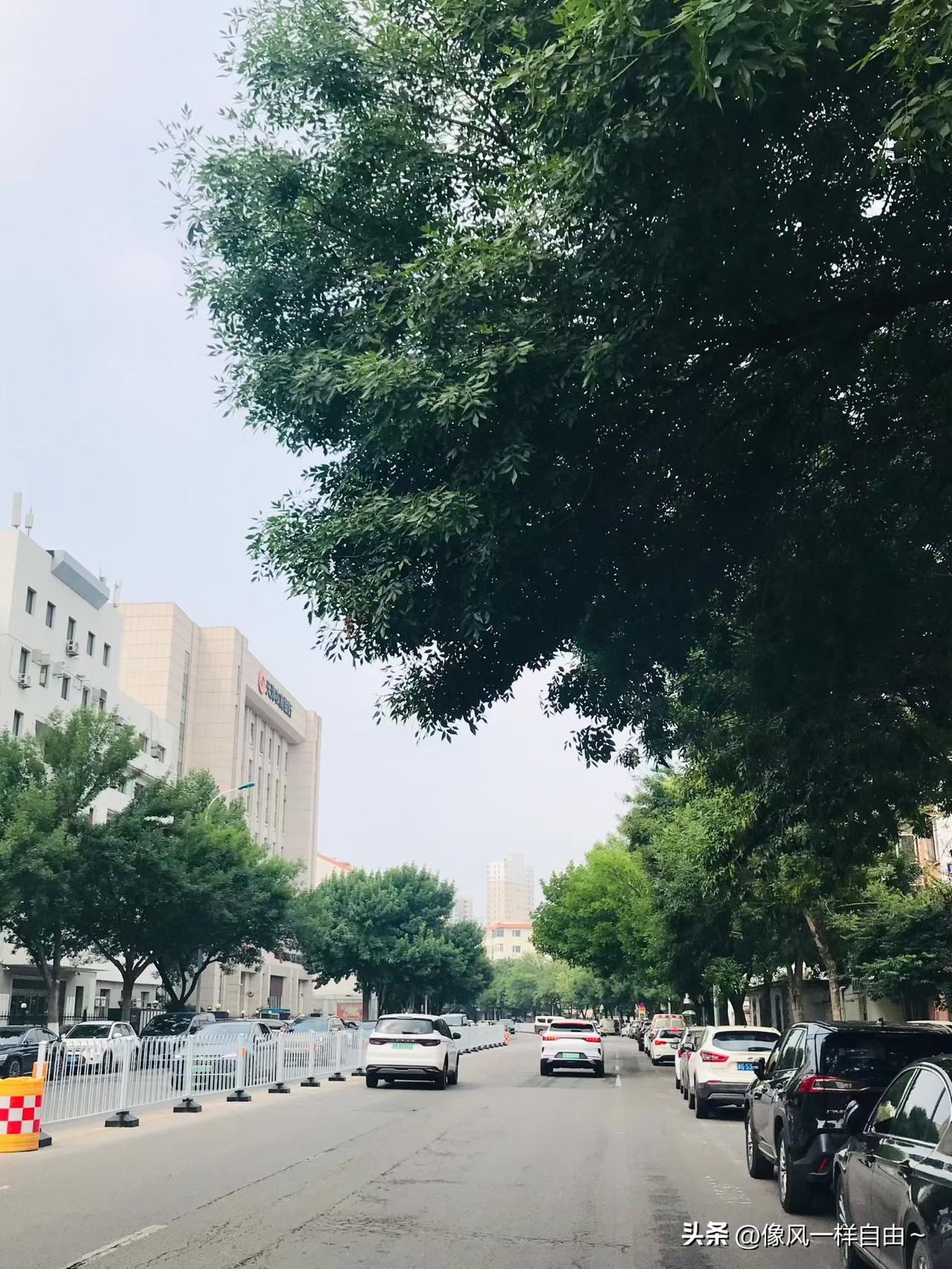 年初我给自己定了一个规定
每天发一条微头条
不管有没有流量
反正就是手不能停下来