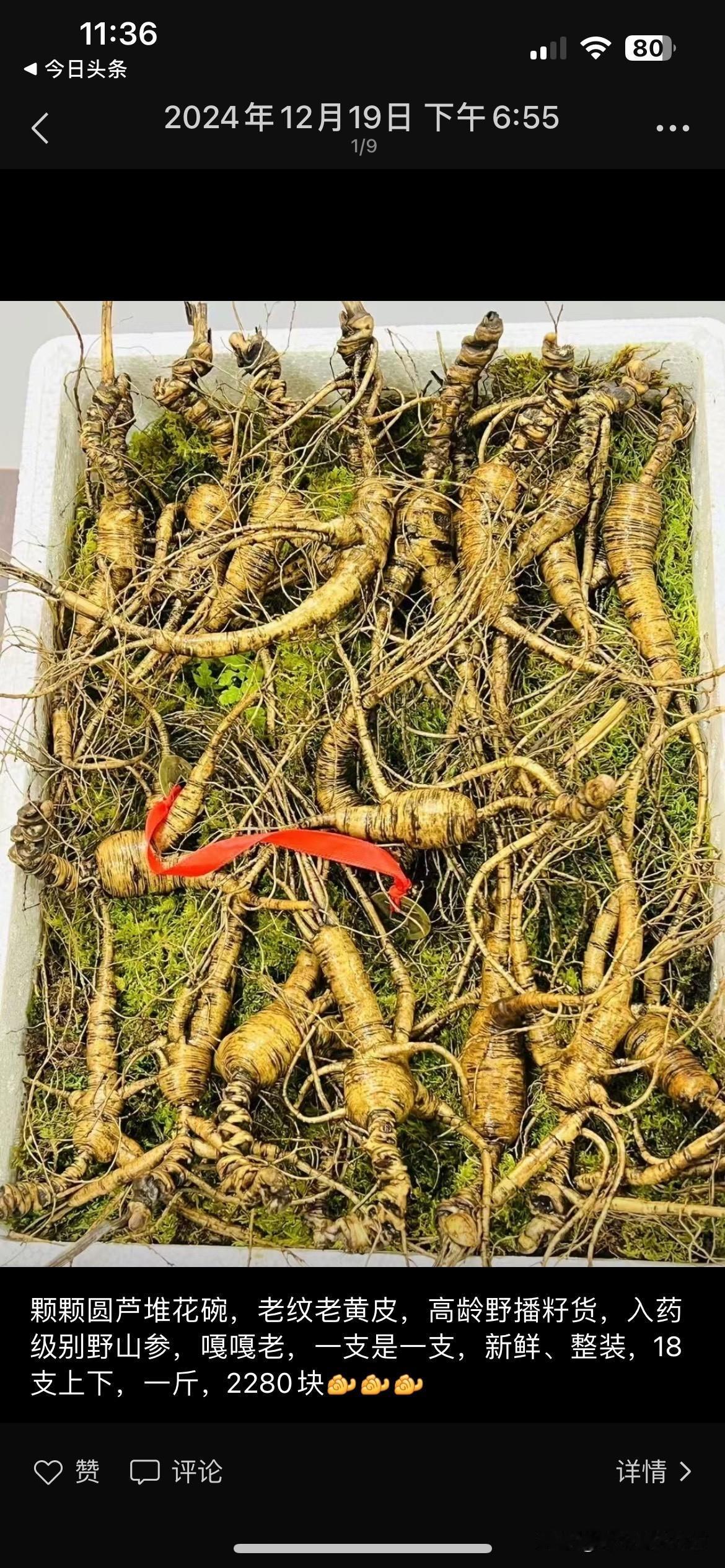 小石的五月提神法宝：一杯参茶，赶走疲劳超带劲！

五月，太阳越来越毒，风里带着热