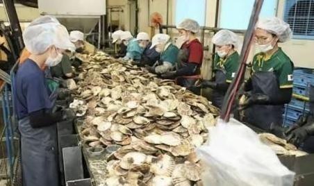 日本排放核水后，奇怪的事发生了：刚开始各国对海鲜避之不及，如今3年过去，核水已污