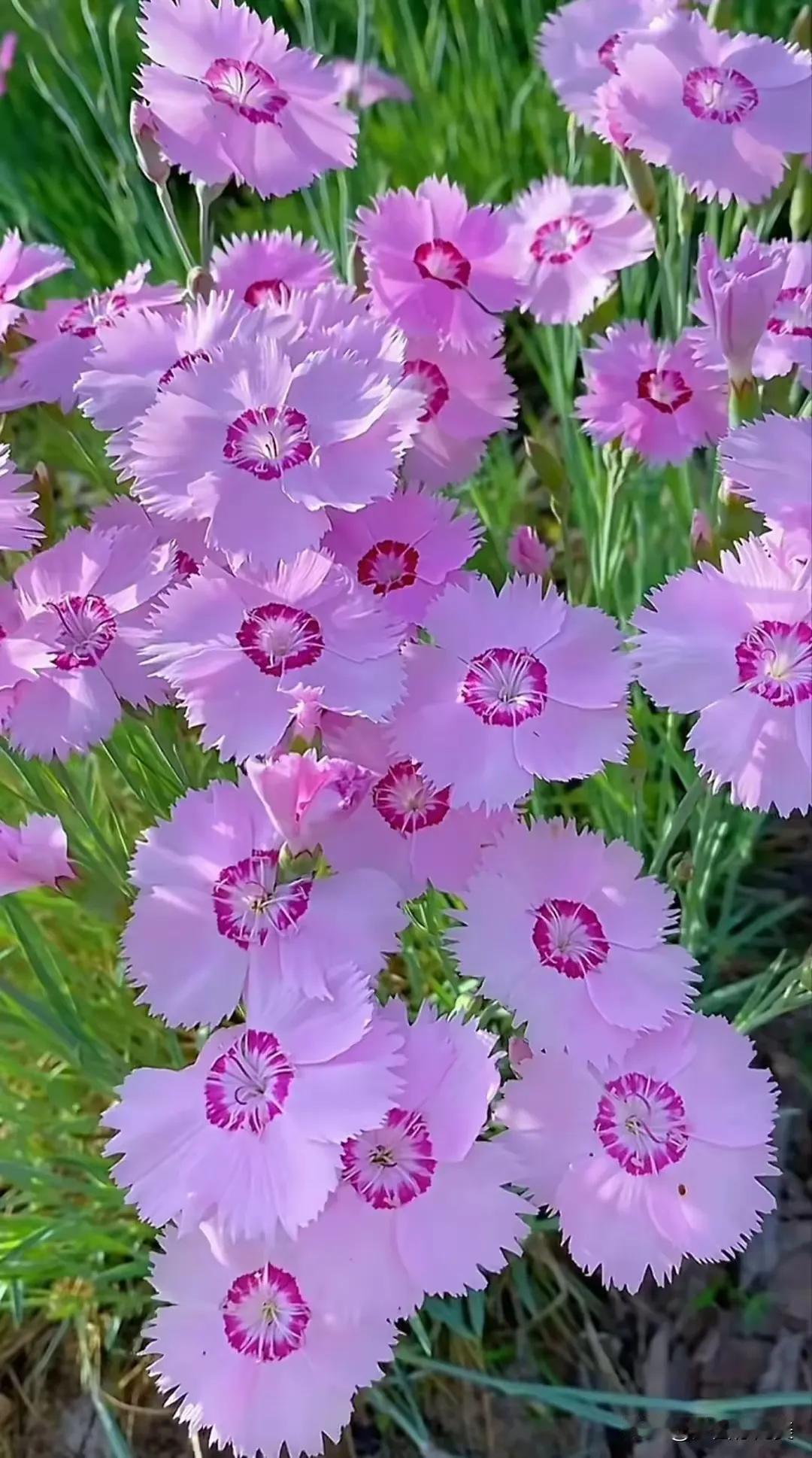 上联：春风十里正花月；
下联：？？？