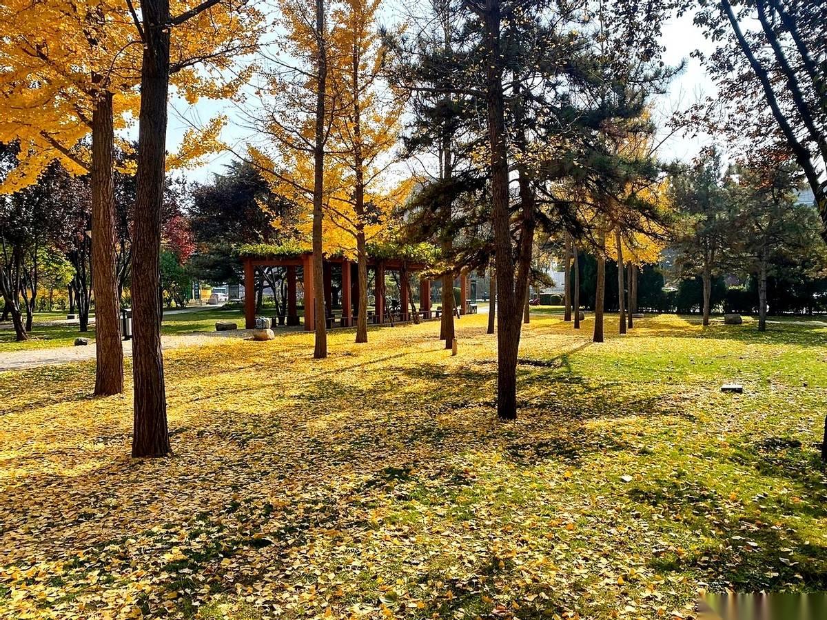 好家伙，一出门，风跟刀子似的。
刚才在办公室还暖得发昏，一脚踏出来，直接给你干清